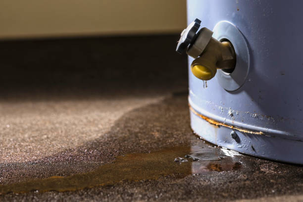 Best Basement water damage restoration  in Russiaville, IN
