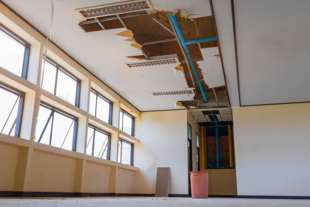 Best Mold removal after water damage  in Russiaville, IN
