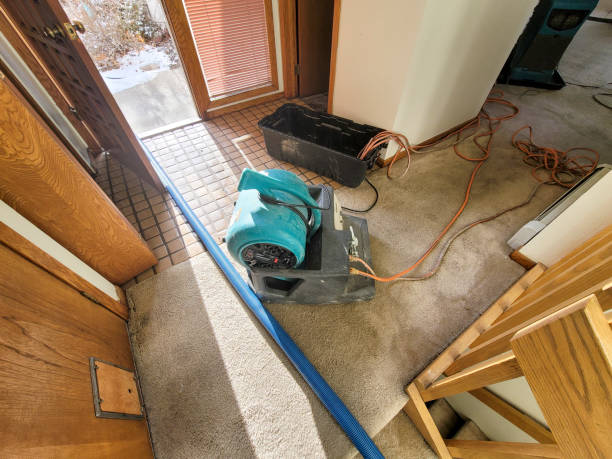 Best Mold removal after water damage  in Russiaville, IN