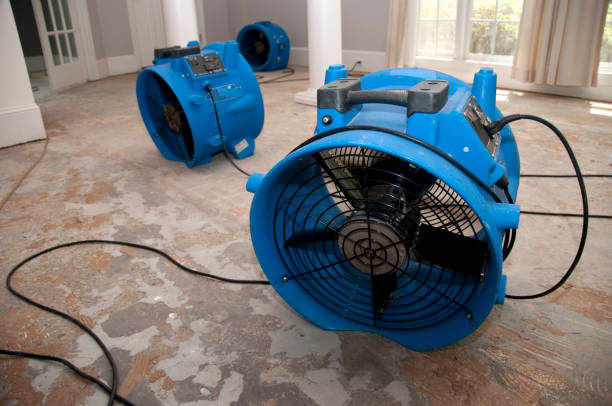 Best Basement water damage restoration  in Russiaville, IN