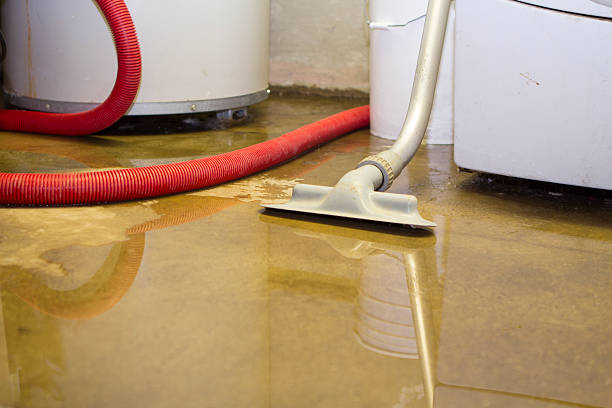 Best Sewage cleanup and water damage restoration  in Russiaville, IN