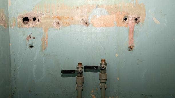 Best Sewage cleanup and water damage restoration  in Russiaville, IN