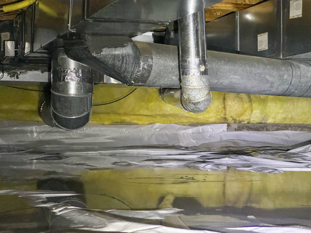 Best Basement water damage restoration  in Russiaville, IN